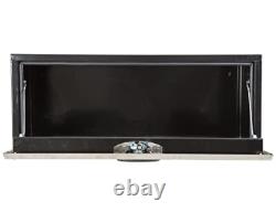 Buyers Product 18x18x24 Black Steel Truck Box with Stainless Steel Door